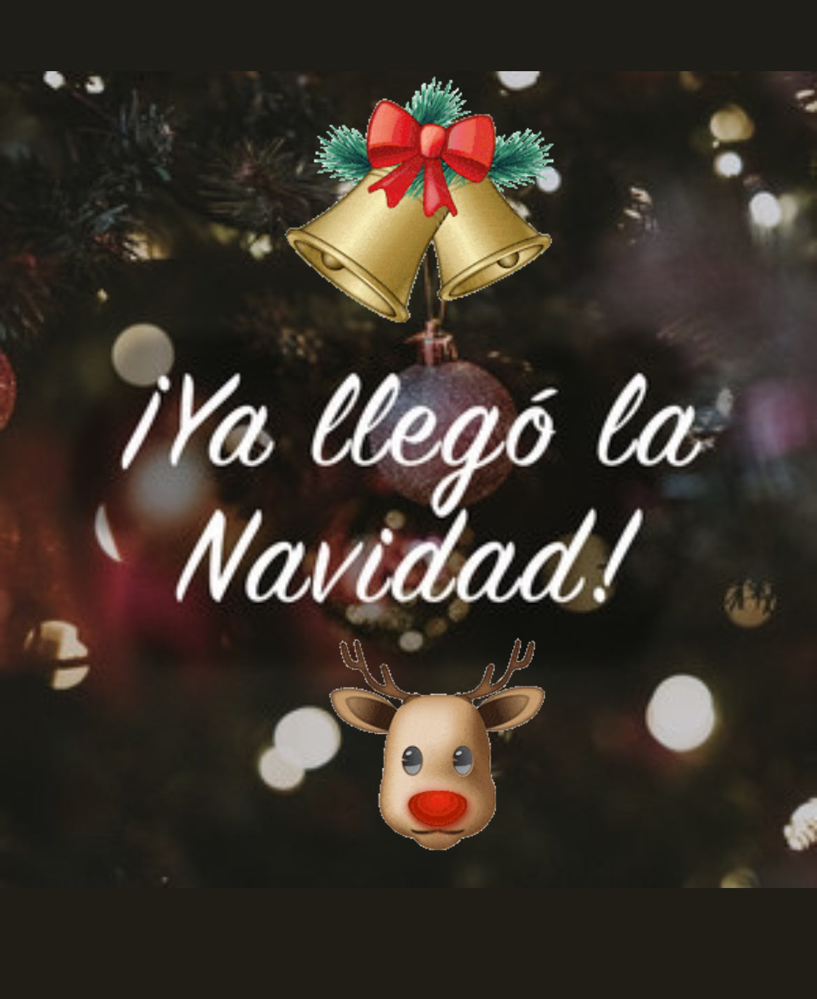 Navidad